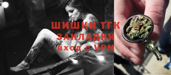 ГАЛЛЮЦИНОГЕННЫЕ ГРИБЫ Сосновый Бор