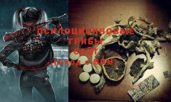 метамфетамин Богданович