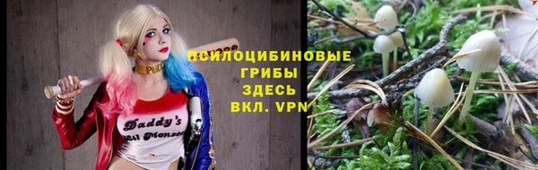 круглые Богородск
