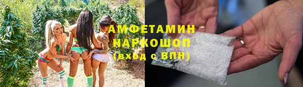 сатива Богородицк