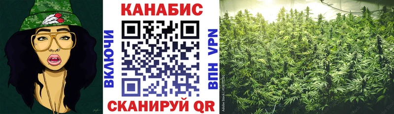 Каннабис VHQ Малаховка